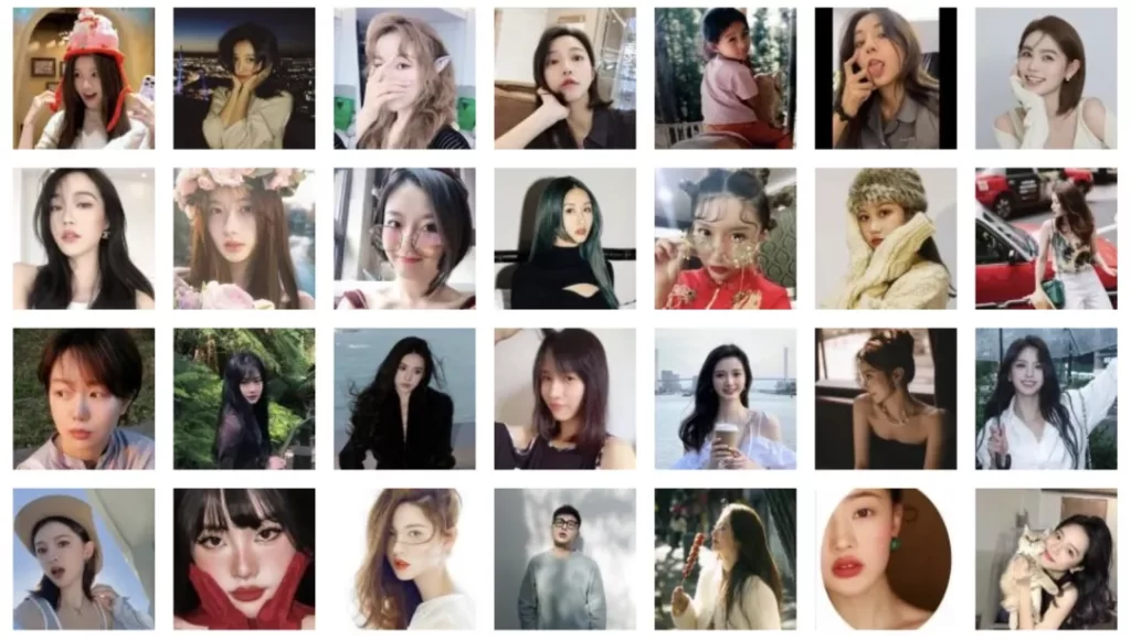 小红书油皮赛道达人排行榜 Thumbnail